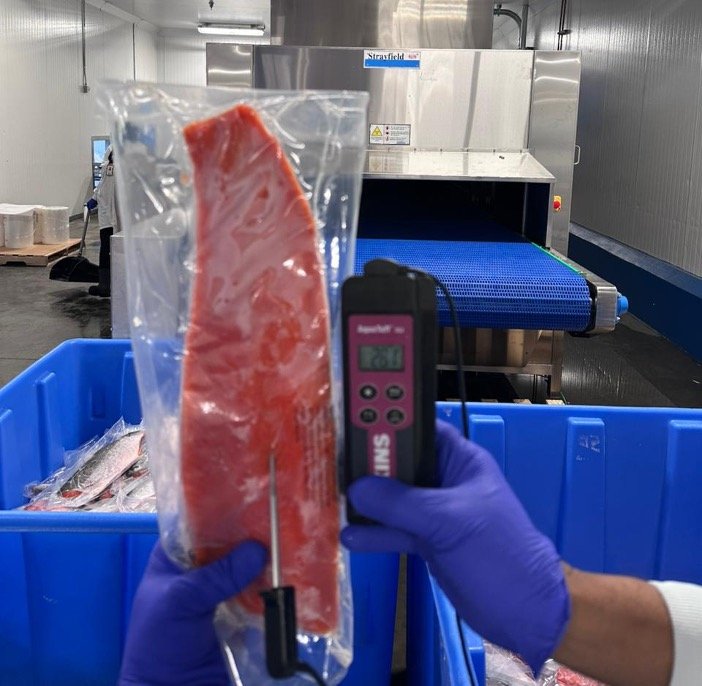 Radio Frequency Defrosting for Seafood: Achieving Uniform Tempering Across Multiple Formats