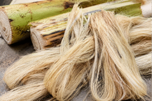 How to Dry Banana Fibre Faster and More Uniformly with MagnaTex Radio Frequency Technology