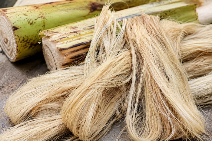 How to Dry Banana Fibre Faster and More Uniformly with MagnaTex Radio Frequency Technology