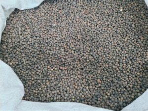 Radio Frequency Pasteurisation of Black Pepper: Rapid and Uniform Heating for Spice Applications